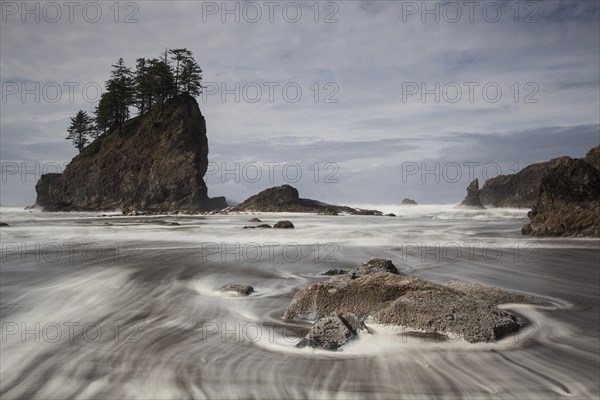 Sea stack on Second Beach in Olympic National Park