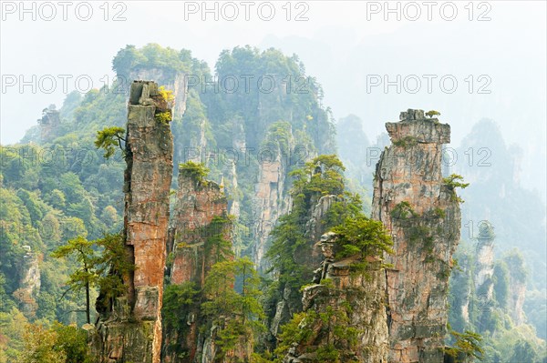 Tianzishan mountain with vertical rock columns of quartz sandstone