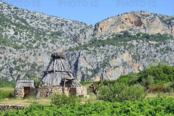 Shepherd's cottage in a vineyard