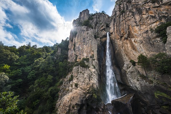 Cascade de Piscia di Gallo