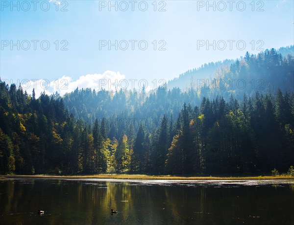 Small lake with autumn forest