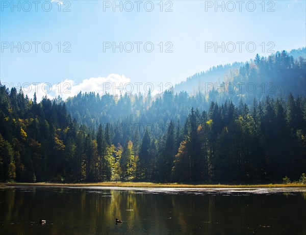 Small lake with autumn forest