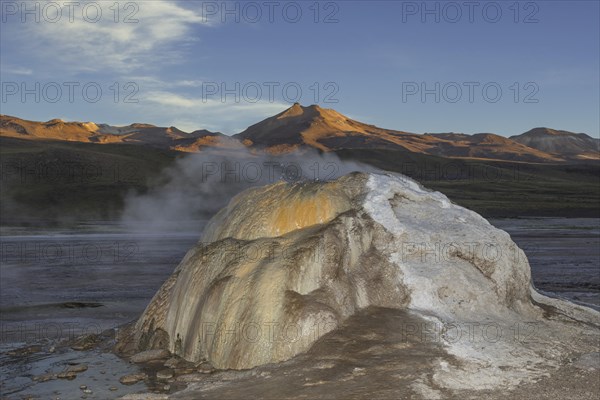 Geyser in the evening light