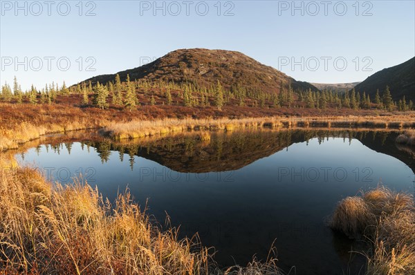 Autumnal landscape reflected in a lake