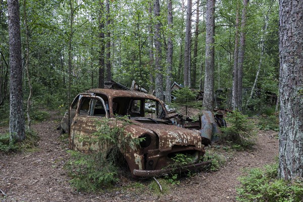 Junkyard in the forest