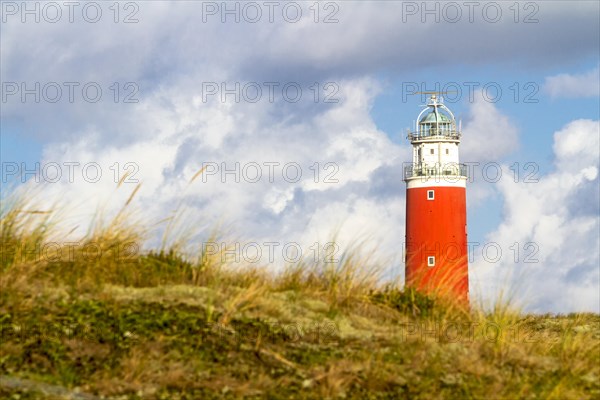 Eierland Lighthouse with dunes