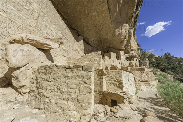 Cliff Palace cliff dwelling