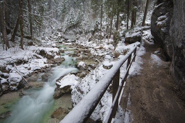 Winter in the Ramsauer Ache in the Zauberwald forest