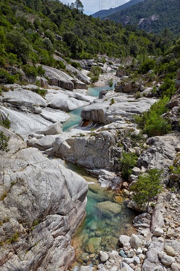 Valley of the Osu mountain river near Porto-Vecchio