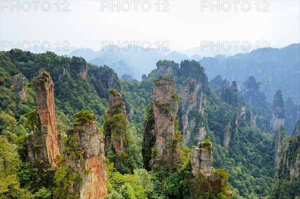 Tianzishan mountain with vertical rock columns of quartz sandstone