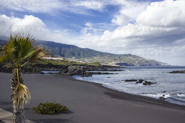 Black sand beach