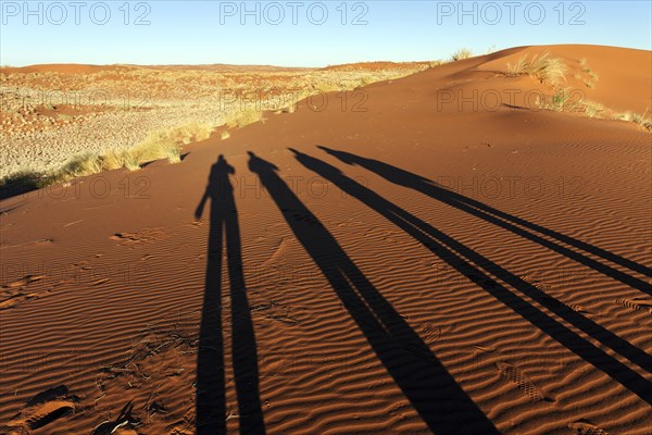 Photographers casting shadows on a sand dune