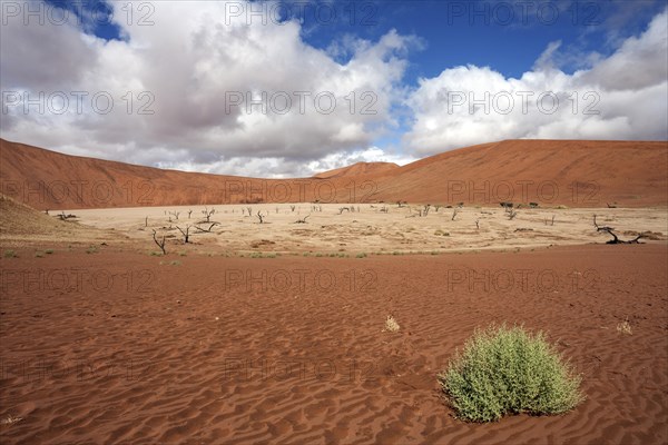 Sand dunes