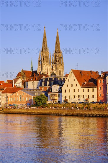 Danube and old town with cathedral in the evening