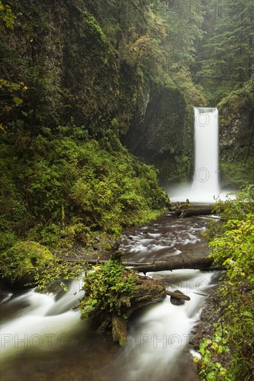 Waterfall Wiesendanger Falls in the Columbia River Gorge