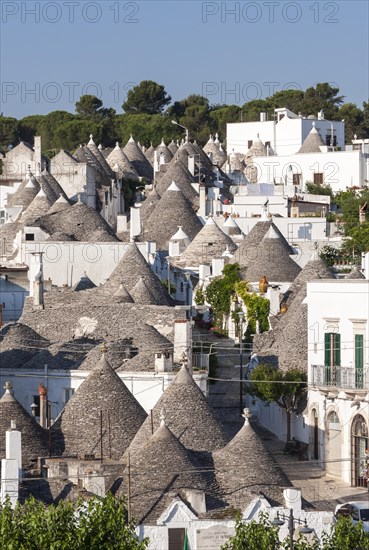 Overlooking the conical roofs of the Trulli