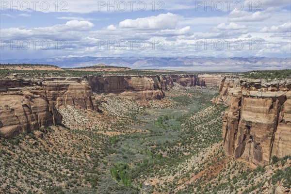 View from Ute Canyon View