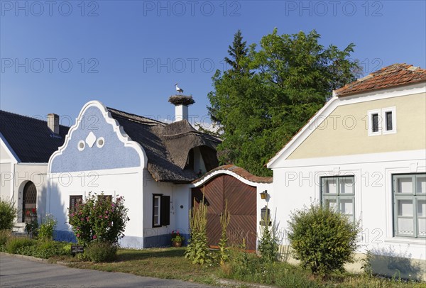 Hufnagl house with stork's nest