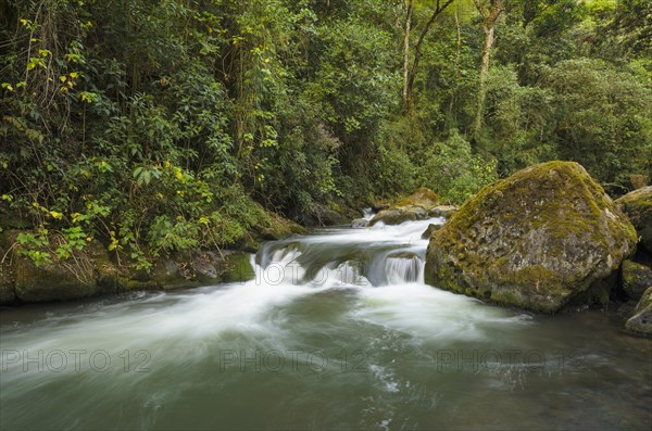 River in mountain forest