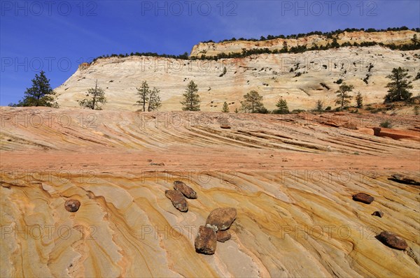 Plateau of colourful sandstone at the foot of Checkerboard Mesa