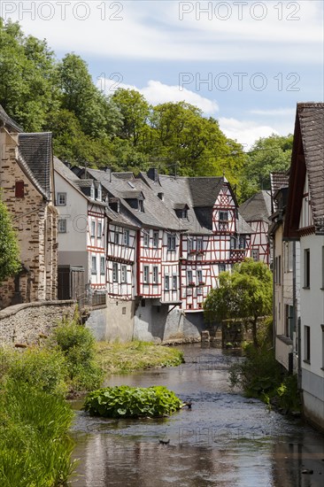 Half-timbered houses