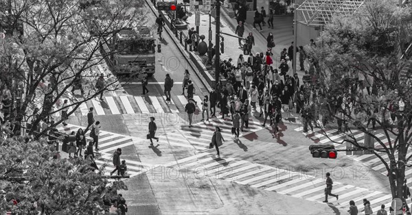 Shibuya crossing