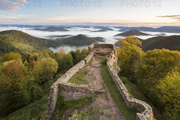 View of the Palatinate Forest from Wegelnburg Castle
