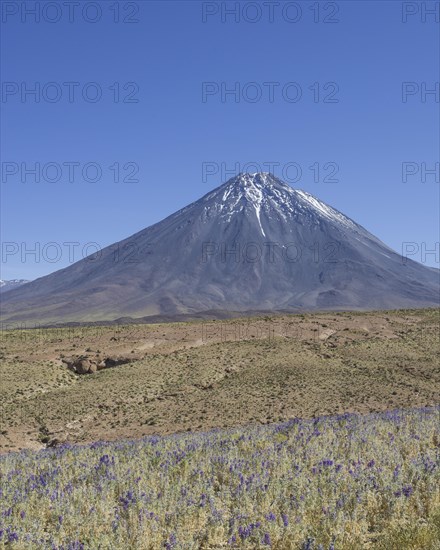 Licancabur volcano