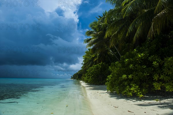 White sand beach and turquoise water in the Ant Atoll