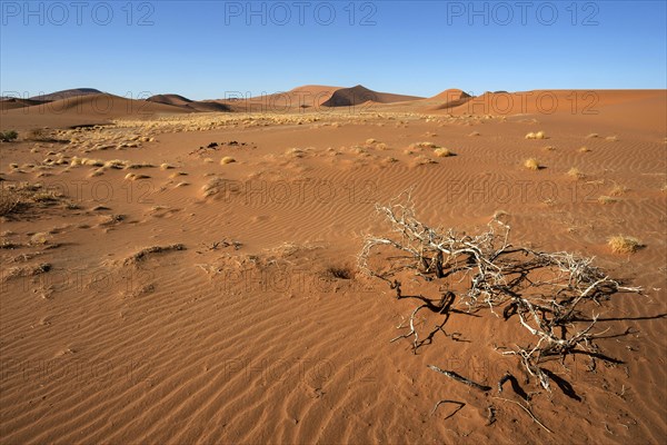 Sand dunes