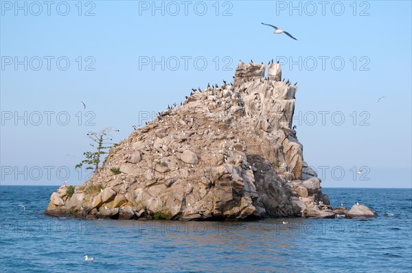 Baklaniy island or Cormorant Island