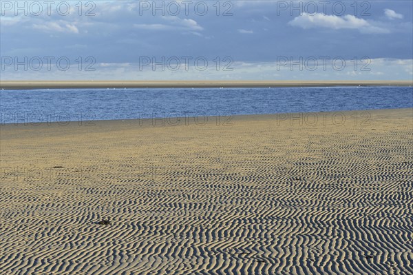 Ripple patterns in front of a tidal creek on the western beach of Spiekeroog