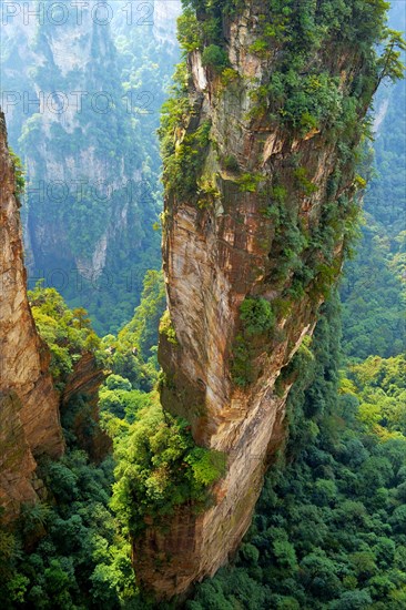 Avatar' mountains with vertical quartz sandstone rocks