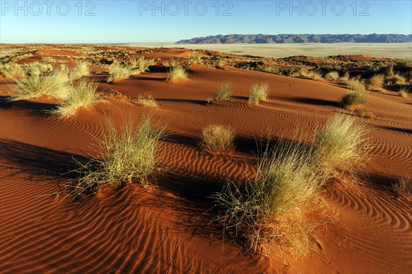 Southern foothills of the Namib desert