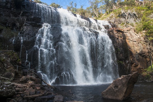 McKenzie Falls