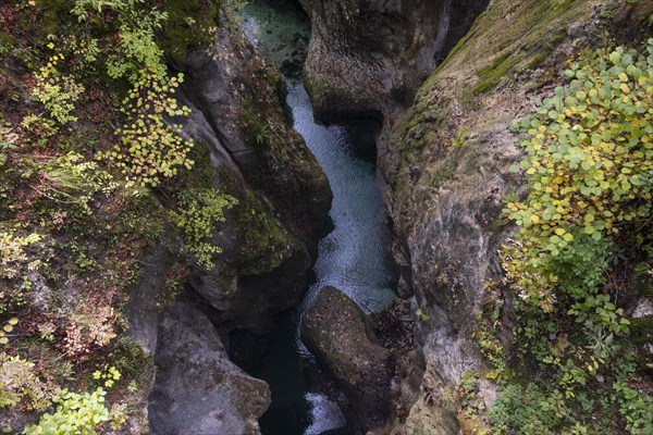 Mountain stream flows through a narrow gorge