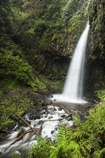 Latourell Falls in the Columbia River Gorge