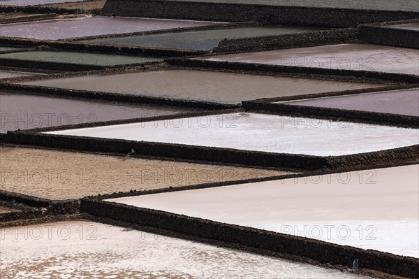 Sea salt production