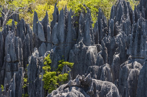 Karst Landscape