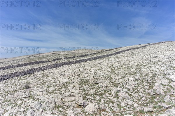 Plateau of the Moon