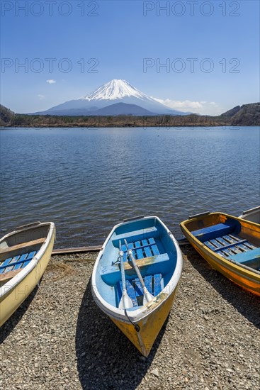 Rowing boats on the shore