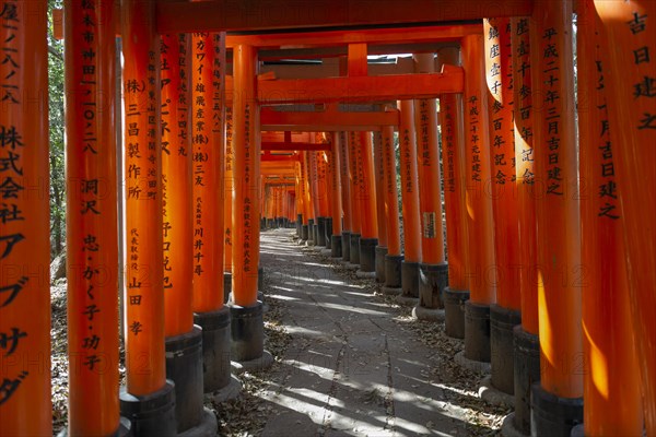 Fushimi Inari Taisha