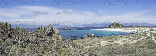 Bay with a white sandy beach on Damas Island