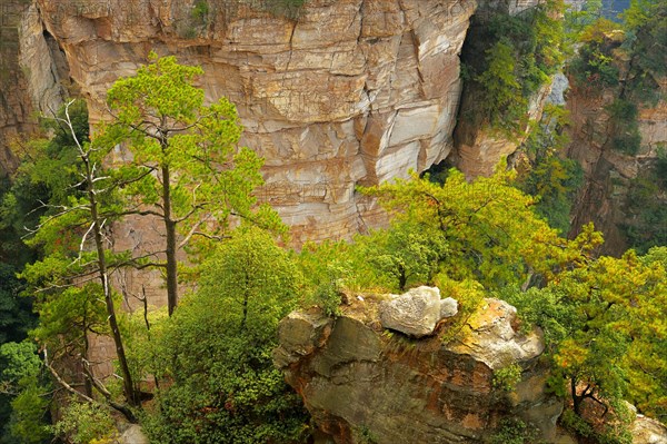 Avatar Mountains with vertical quartz-sandstone pillars