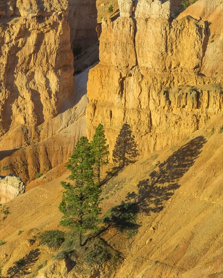 Rocks at Sunrise Point in the morning light