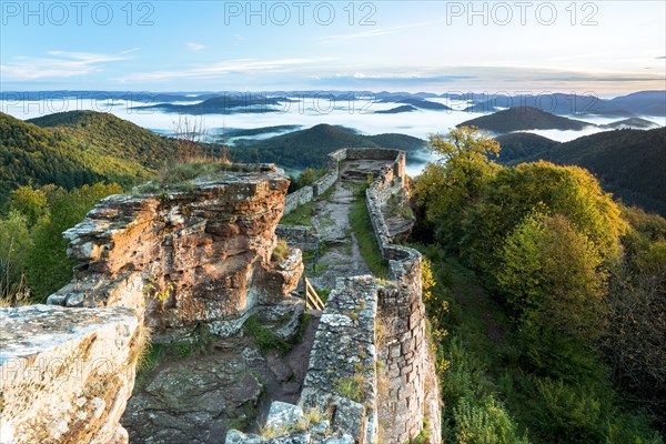 View of the Palatinate Forest from Wegelnburg Castle