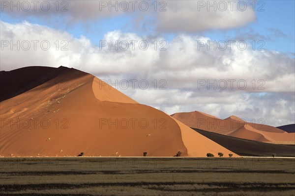 Sand dunes