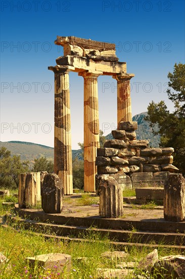 The Doric columns of the Tholos at the sanctuary of Athena Pronaia