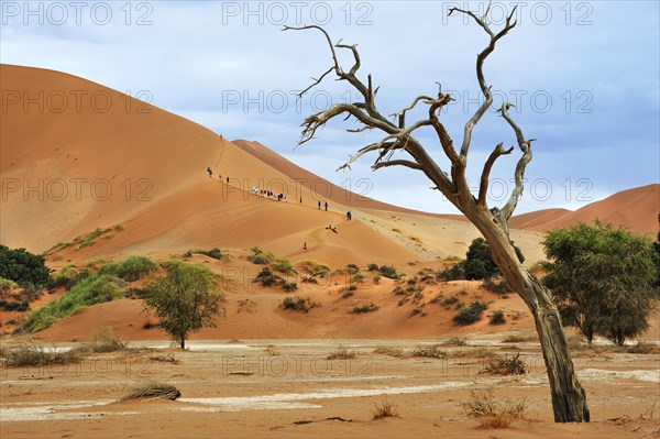 Tourists climbing the dunes of Sossusvlei