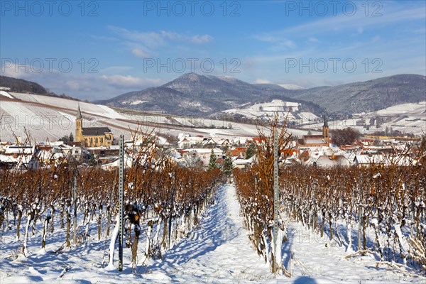 Birkweiler wine village